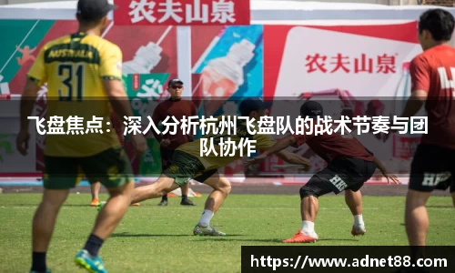 飞盘焦点：深入分析杭州飞盘队的战术节奏与团队协作